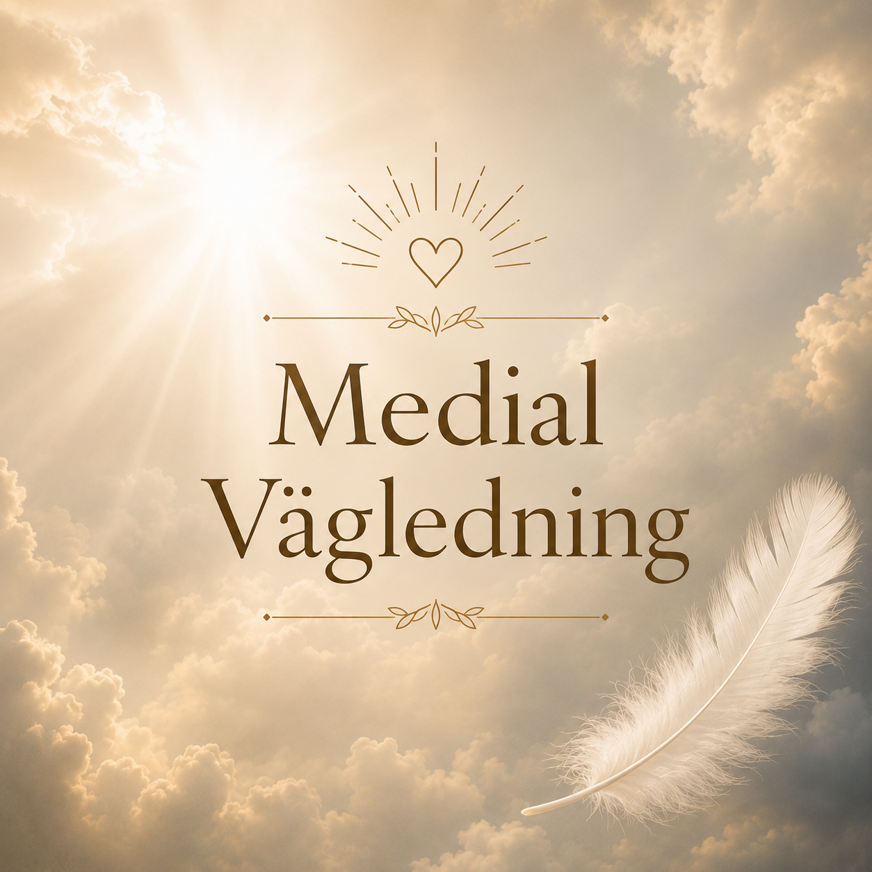 Medial vägledning