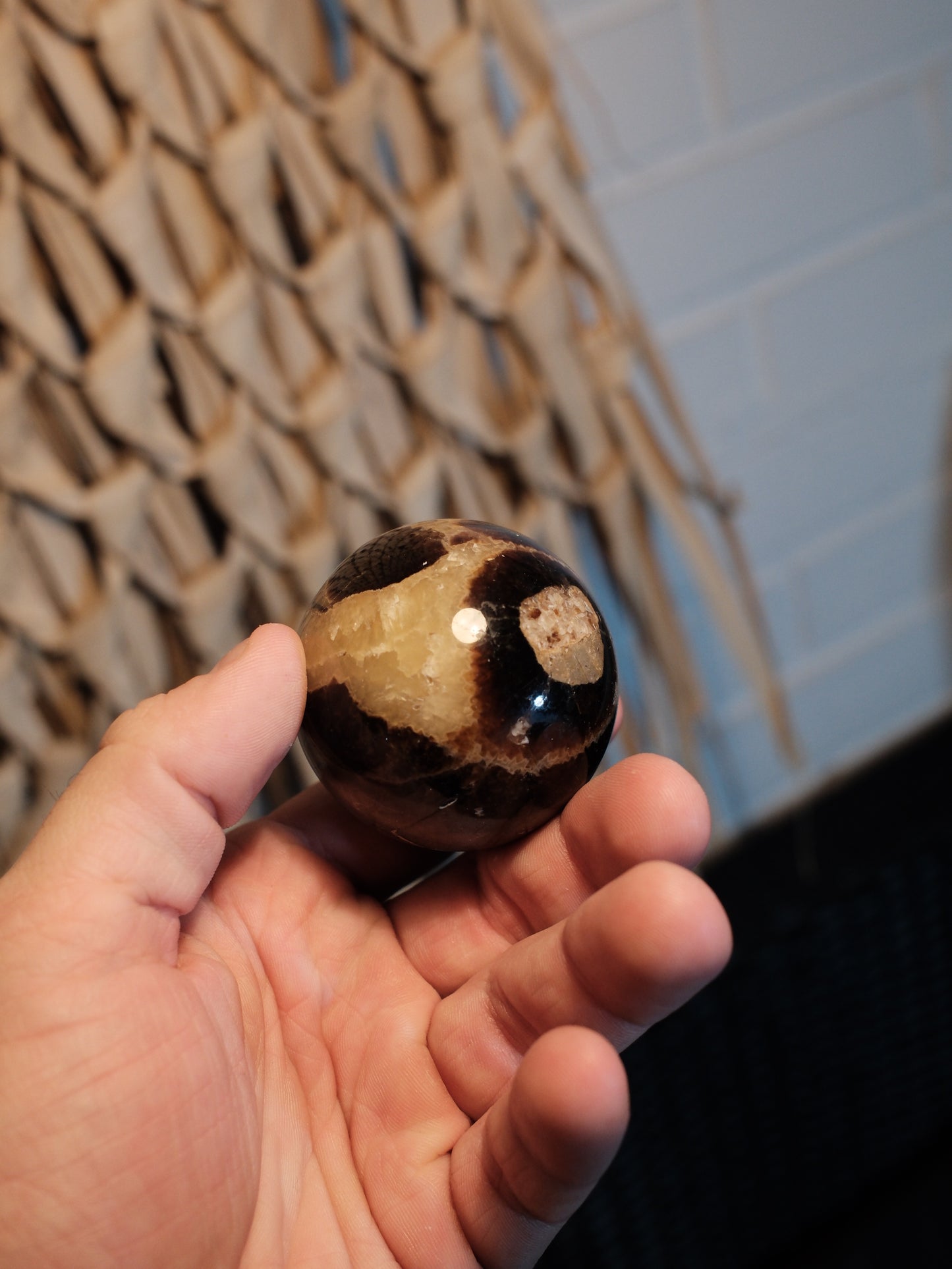 Septarian / Draksten - Klot