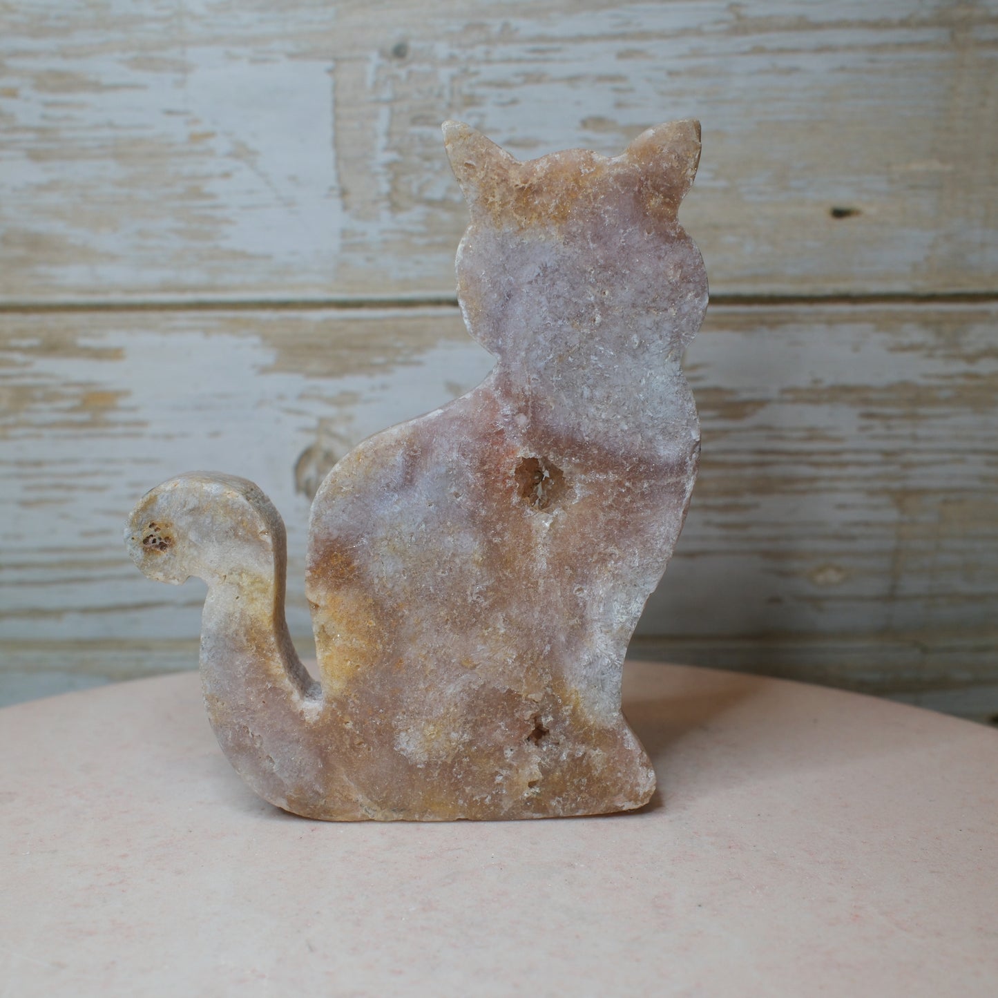 Rosa Ametist Katt (P) Spiritana