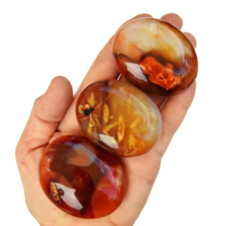 Karneol Handsten, Trumlad