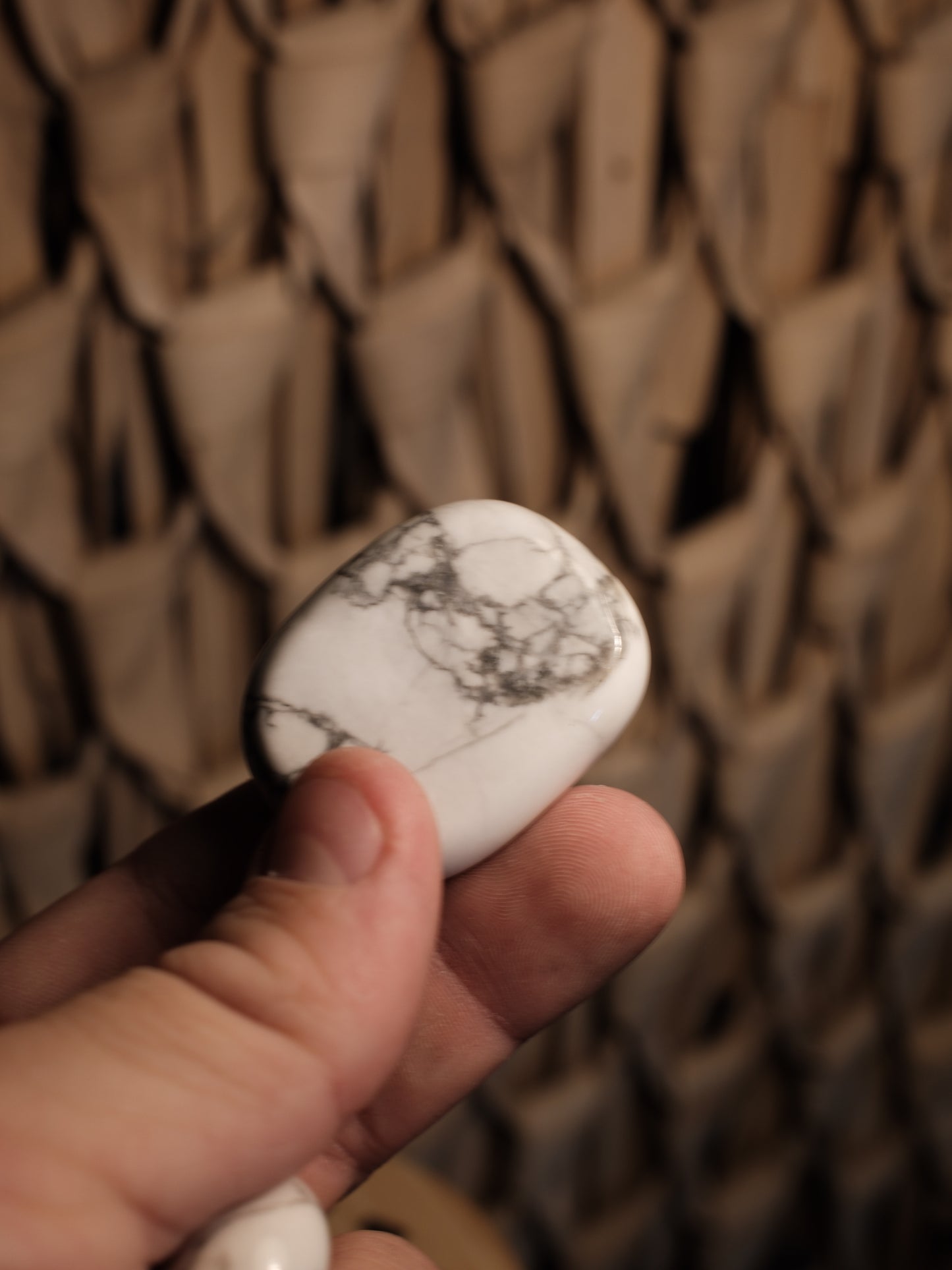 Howlit Handsten, Trumlad