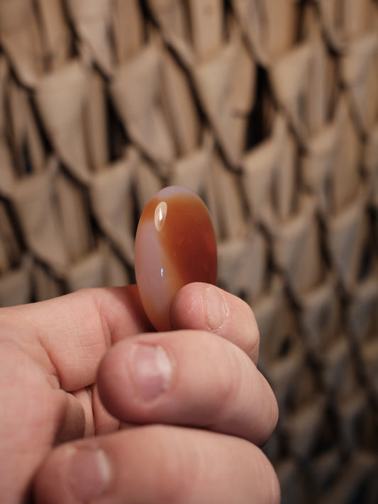 Karneol Handsten, Trumlad