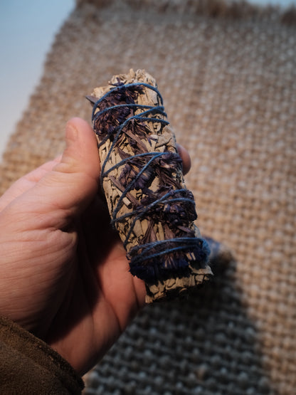 Smudge Stick - Vit Salvia med Blå Sinuata