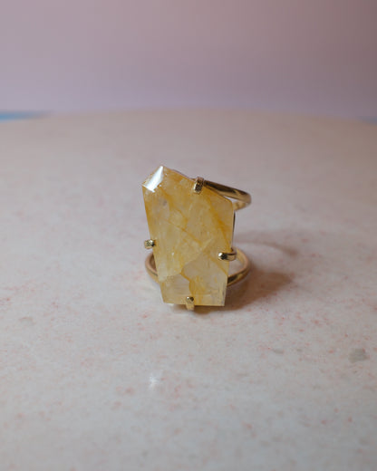 Facetterad golden healer ring, guld (A)