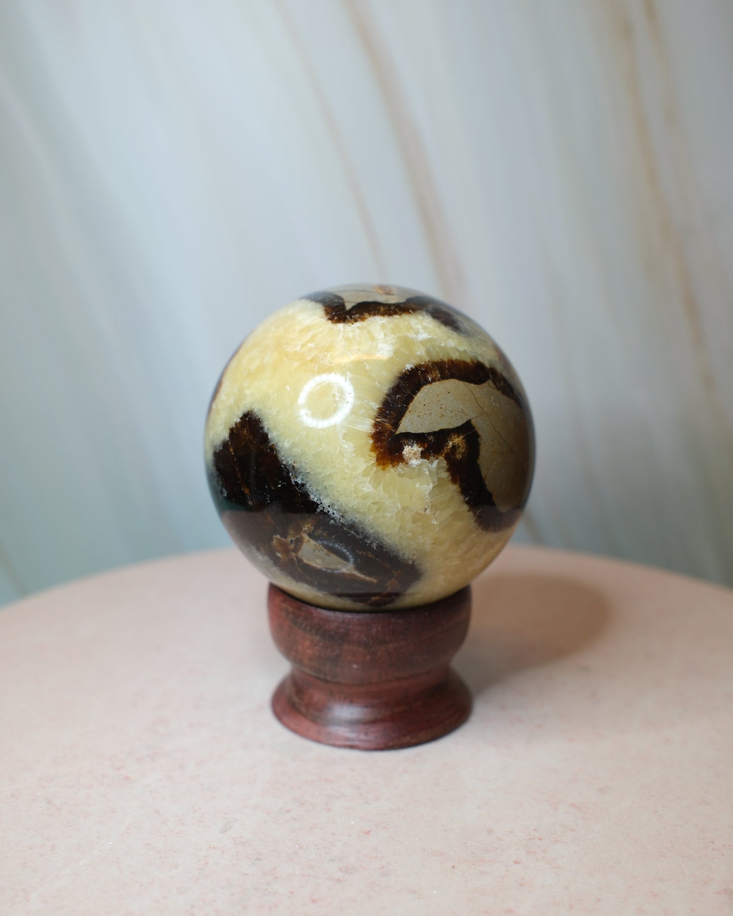 Septarian klot (B)