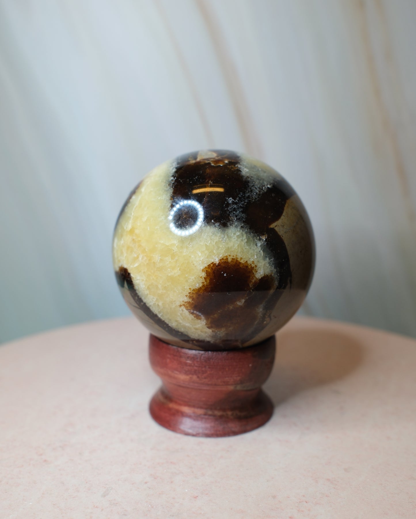 Septarian klot (B)