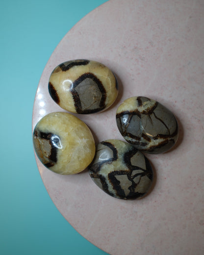 Septarian Handsten