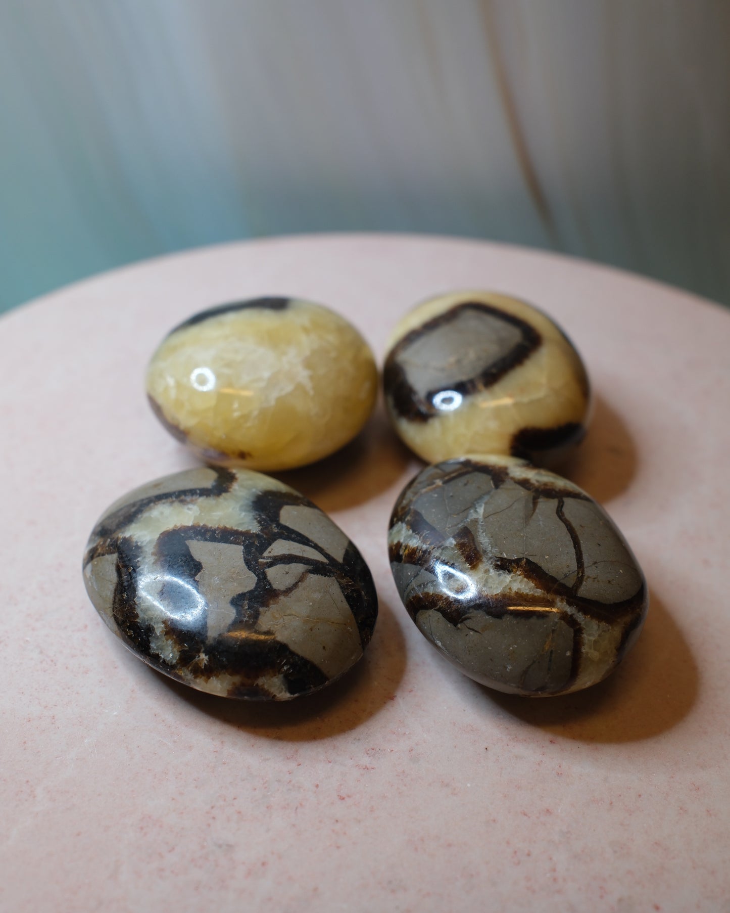 Septarian Handsten