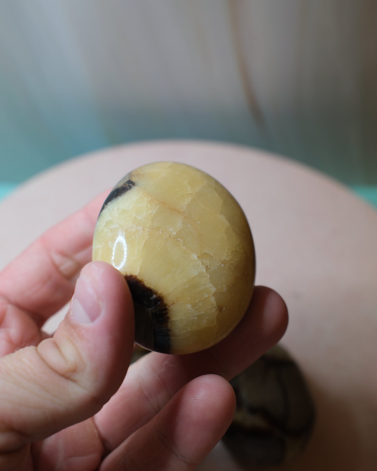 Septarian Handsten