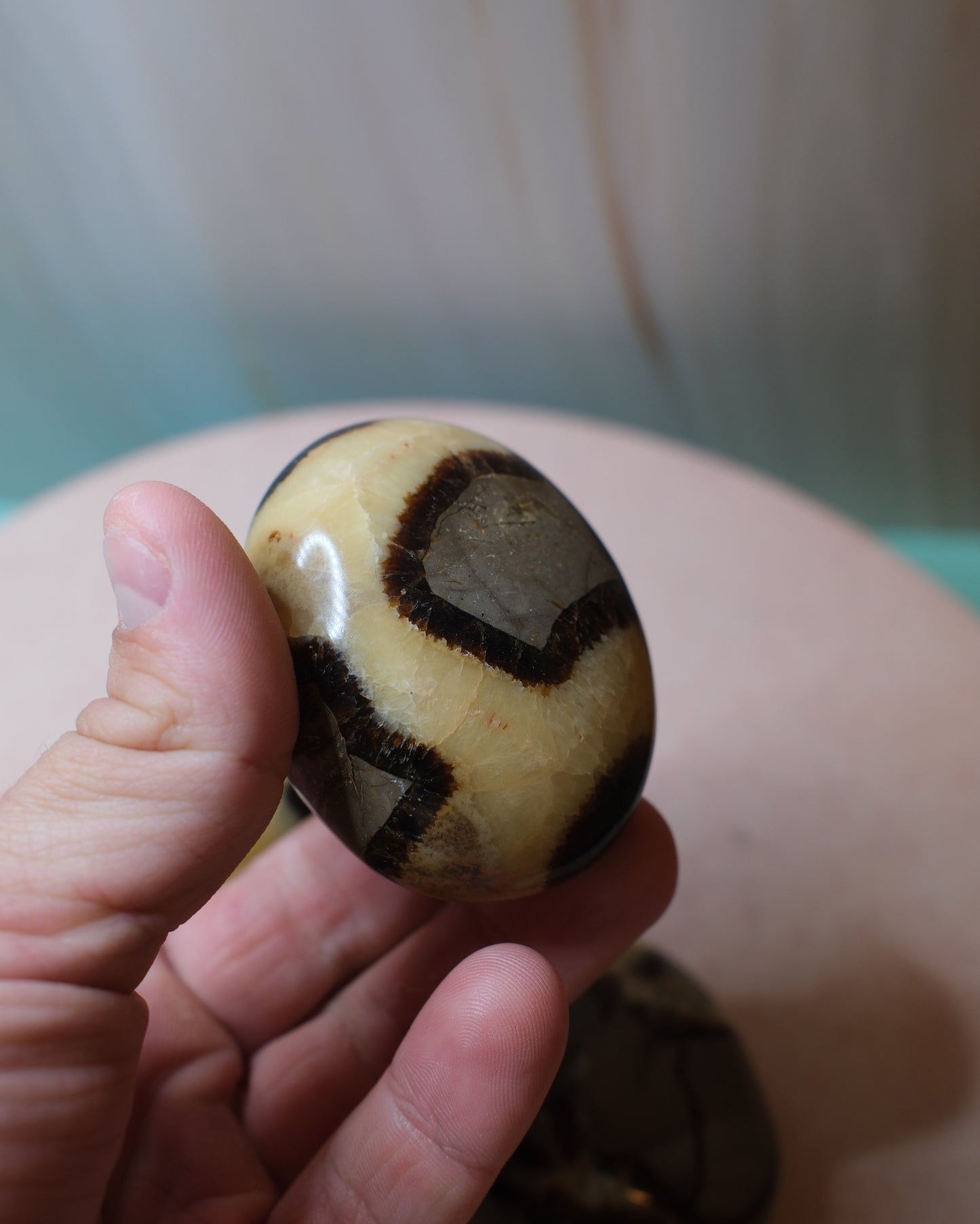 Septarian Handsten