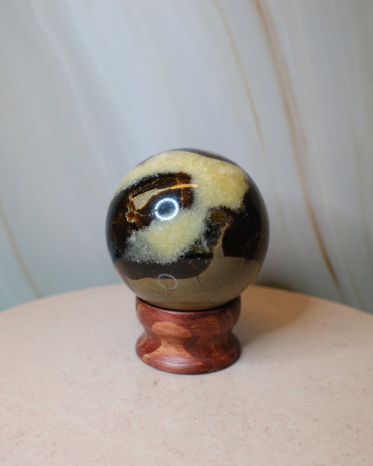 Septarian klot (A)