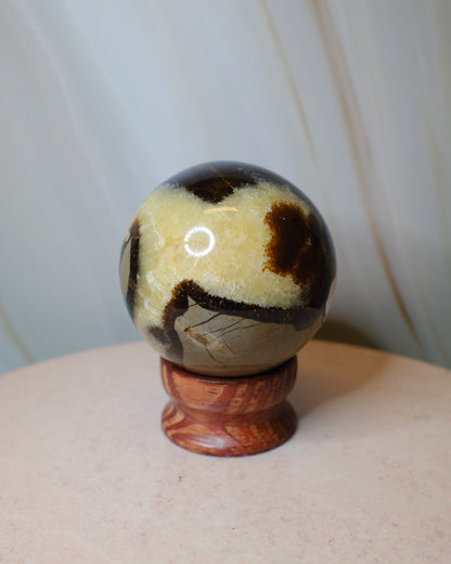 Septarian klot (A)