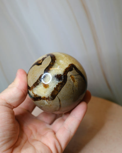 Septarian klot (A)
