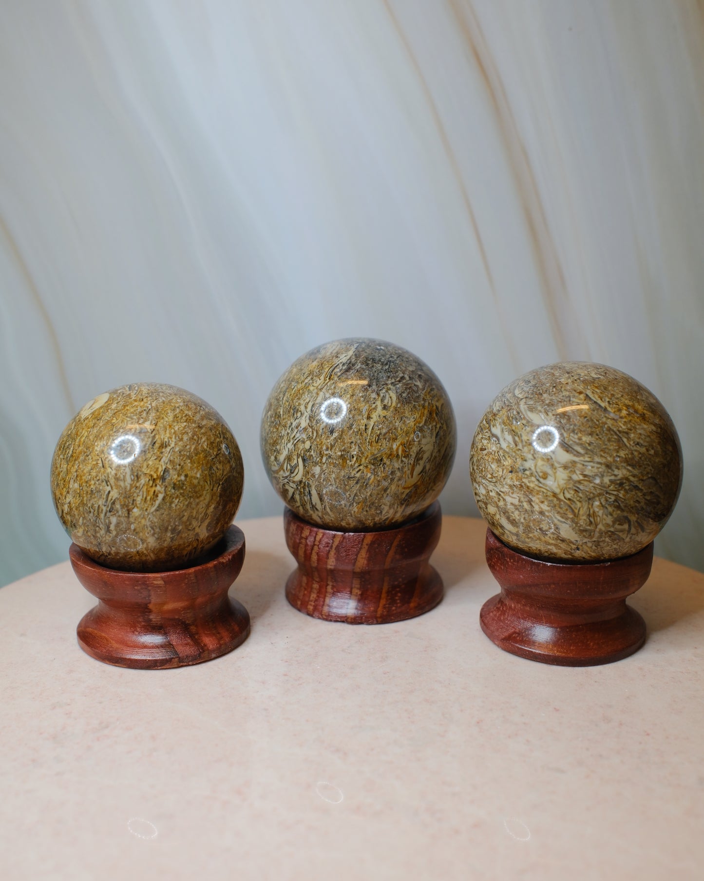Fossiljaspis klot