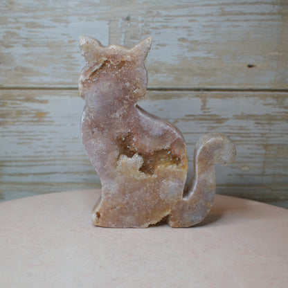 Rosa Ametist Katt (P) Spiritana