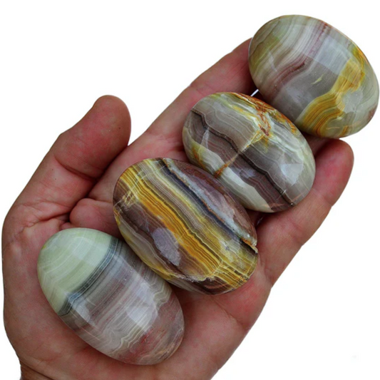 Rosa Bandad Onyx Handsten, Trumlad